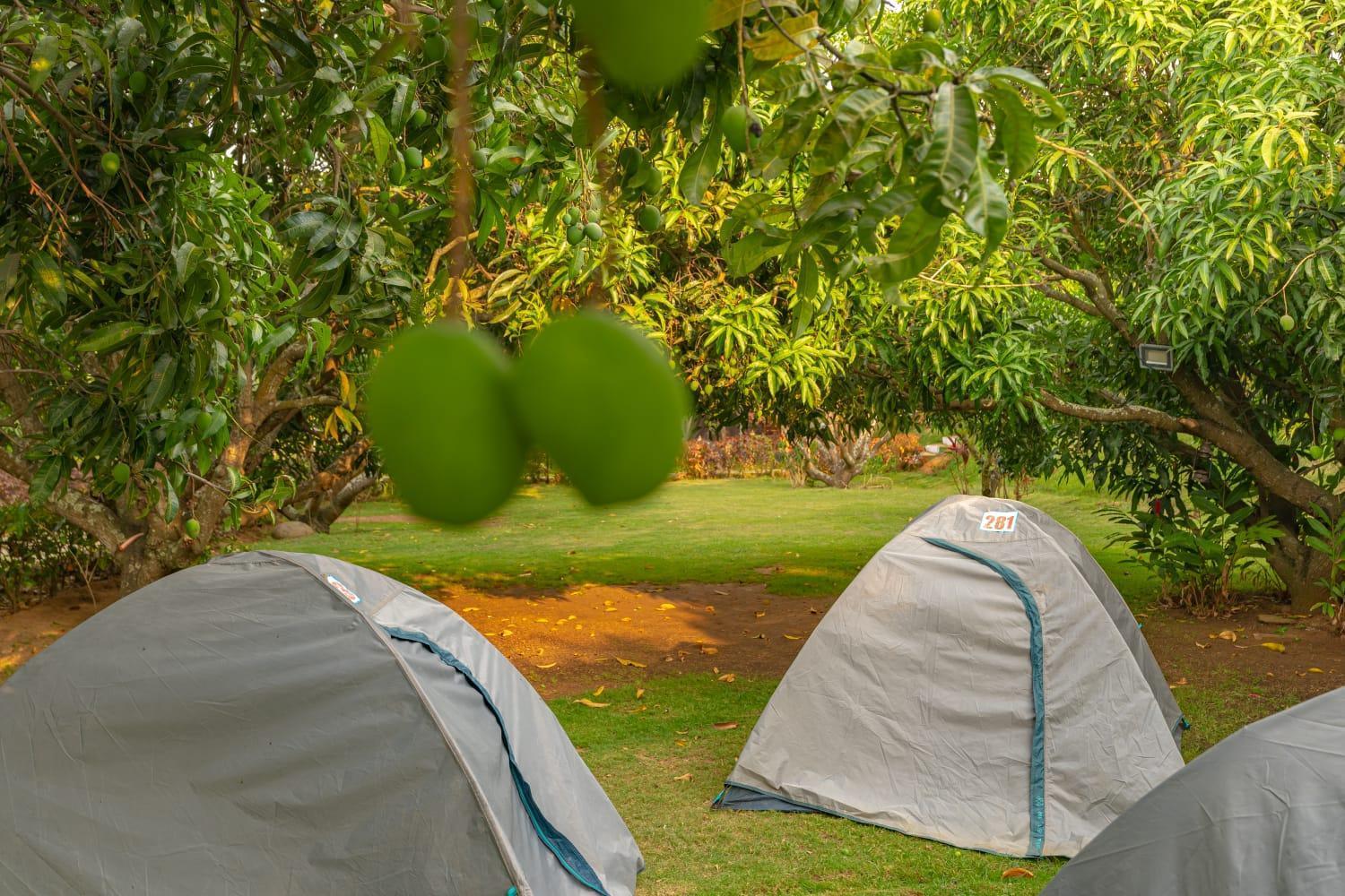 Q Mango Resort Rāmanagaram Exteriör bild